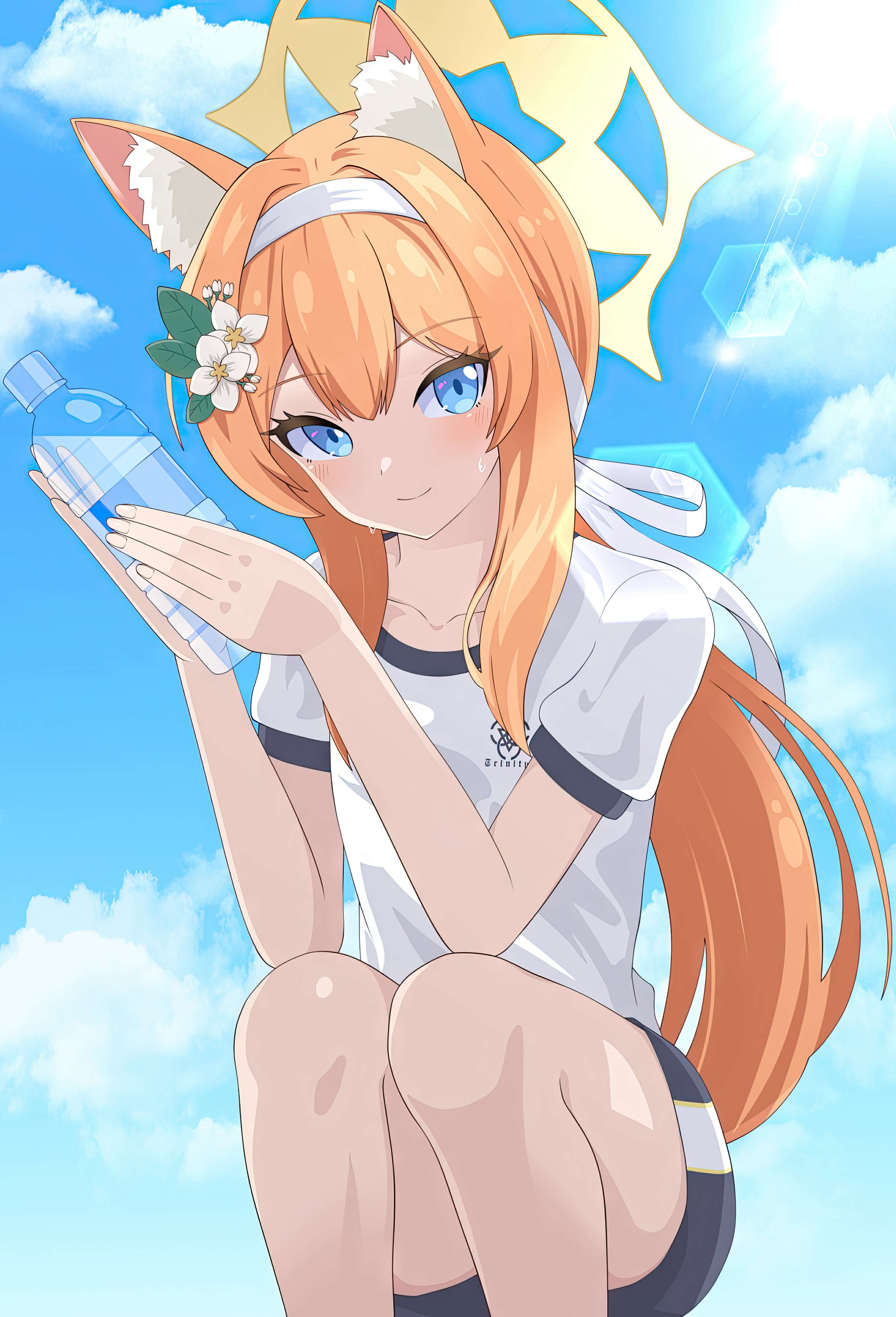 Photo 965